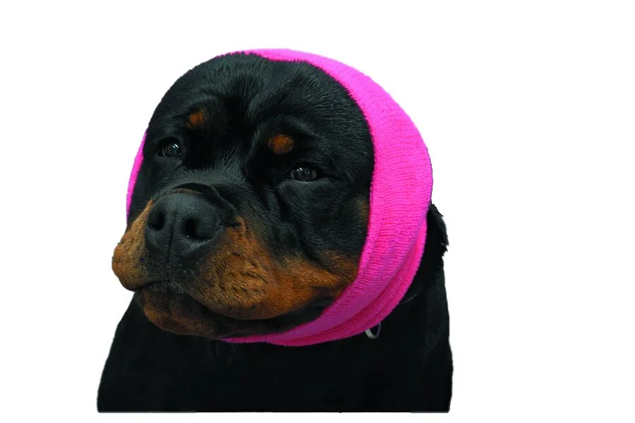 Dog grooming hoodie hot sale